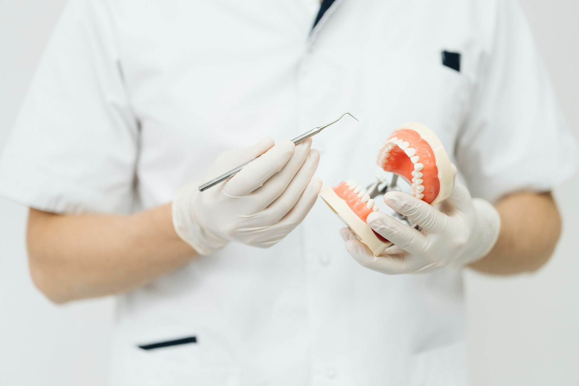 Dentist pointing to a plaster cast on white background. Explaining about teeth care